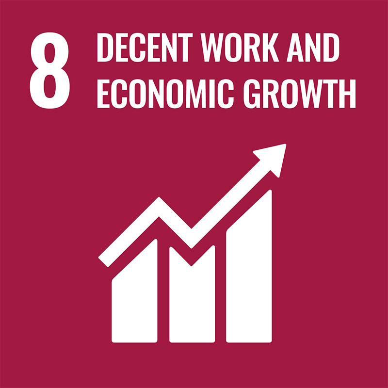 Red square with "8. Decent Work and Economic Growth" in white text above an upward-trending graph icon.