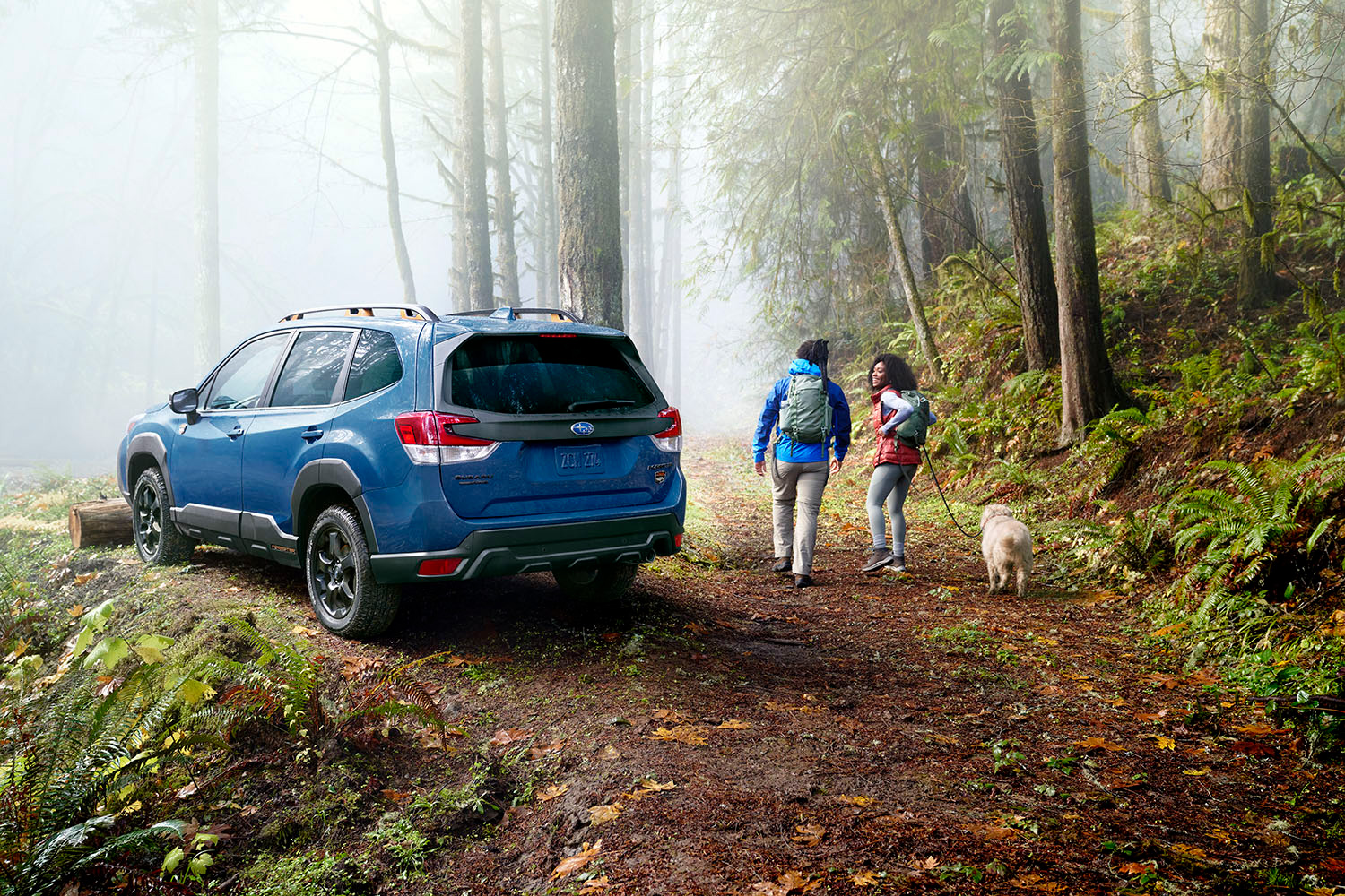 A blue Subaru Forester parked on a foggy forest trail. Two hikers with backpacks walk along the path, surrounded by tall trees and greenery.