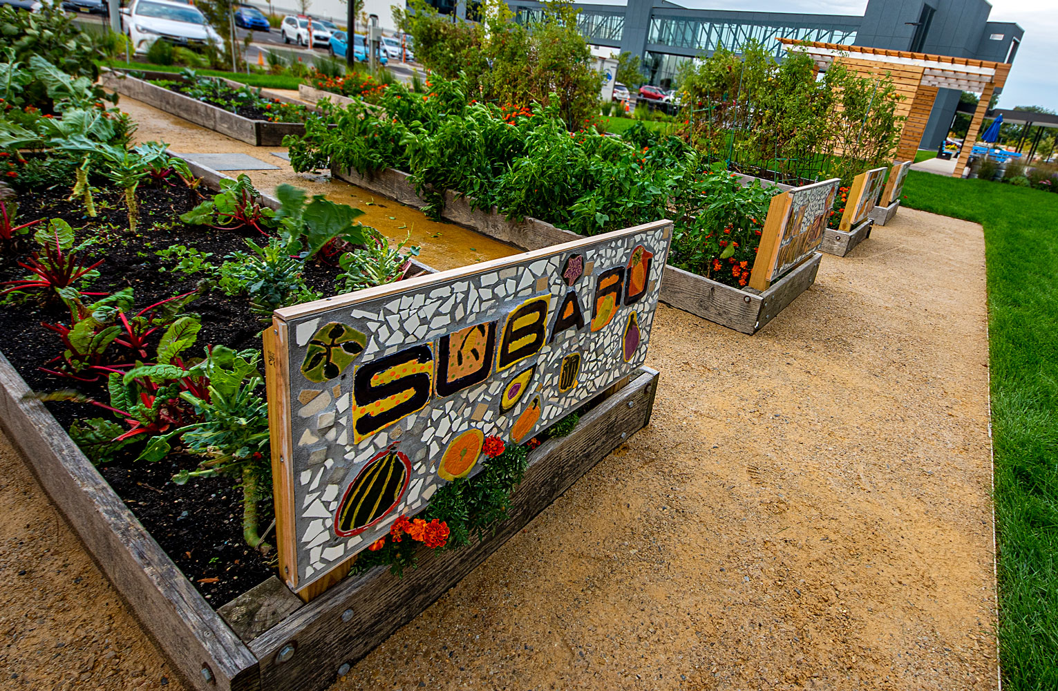 Raised garden beds in a lush community garden, adorned with a colorful mosaic sign that spells out