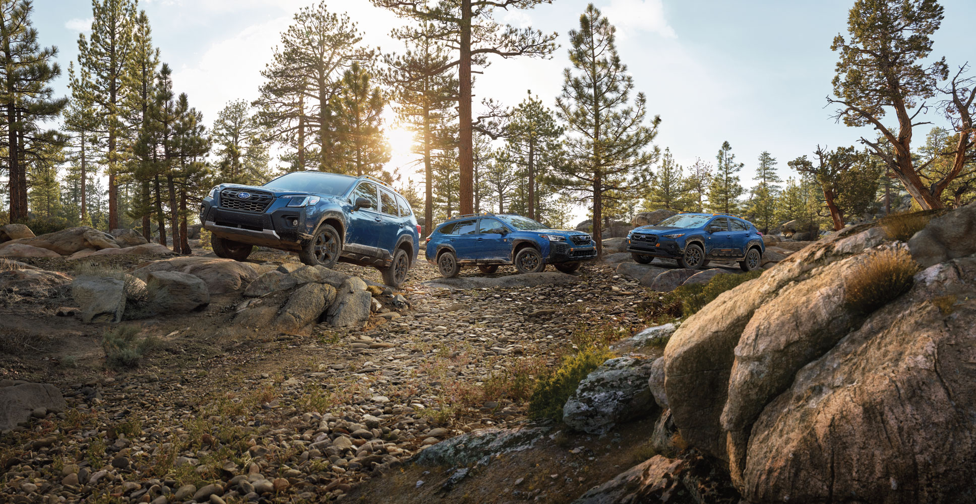 Three blue Subaru SUVs staged amongst a rugged, rocky forest trail at sunset.