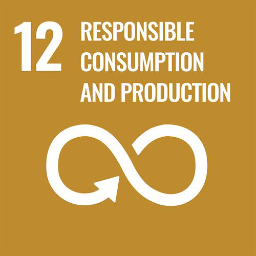 Yellow square with "12. Responsible Consumption and Production" in white text above an infinity loop icon.