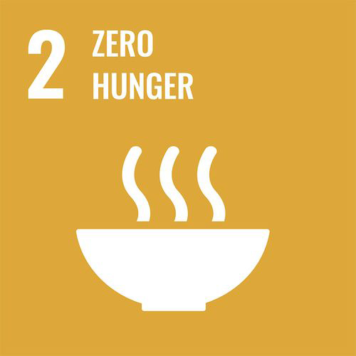 Yellow square with "2. Zero Hunger" in white text above a steaming bowl icon.
