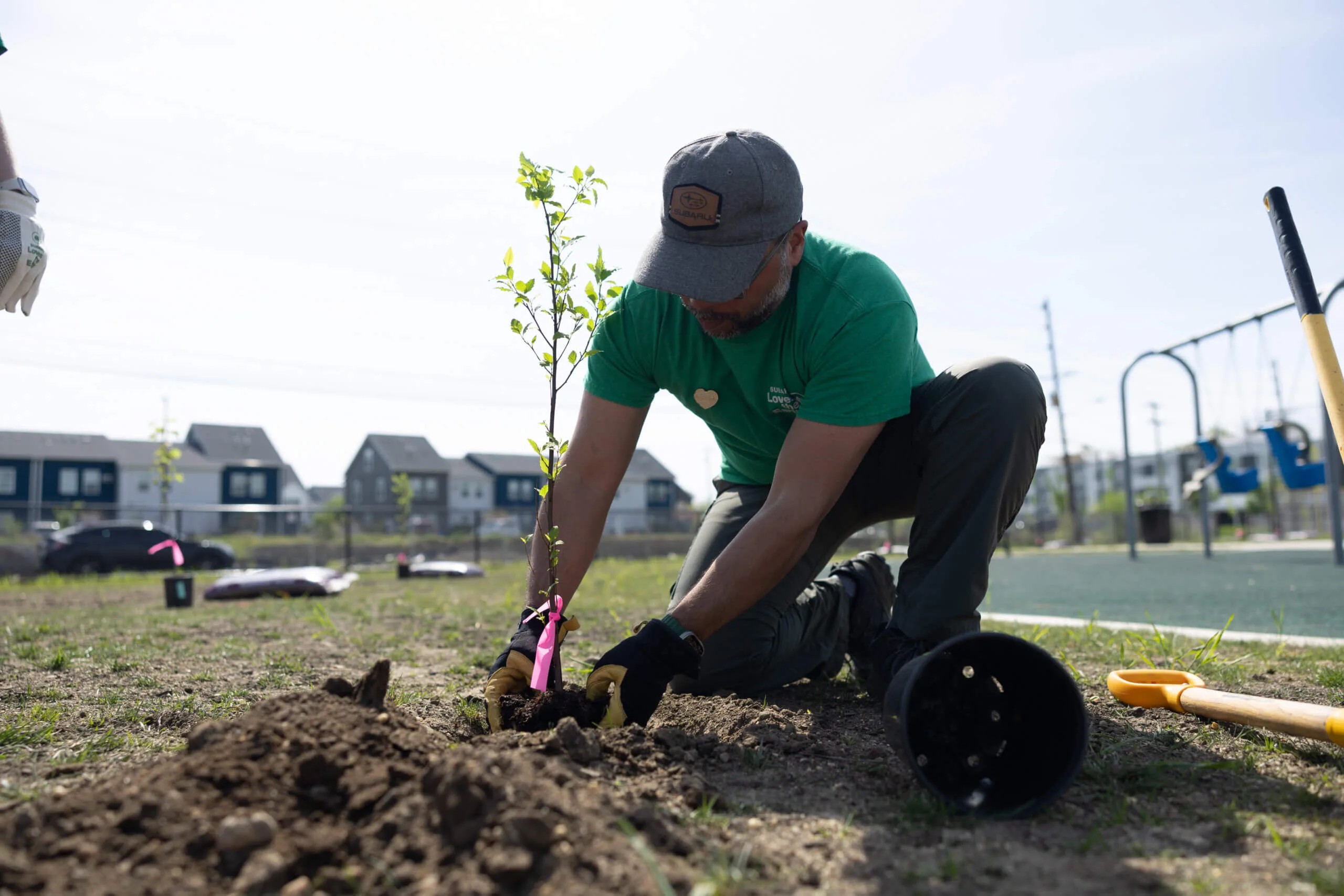 Subaru volunteer planting a tree near a playground.